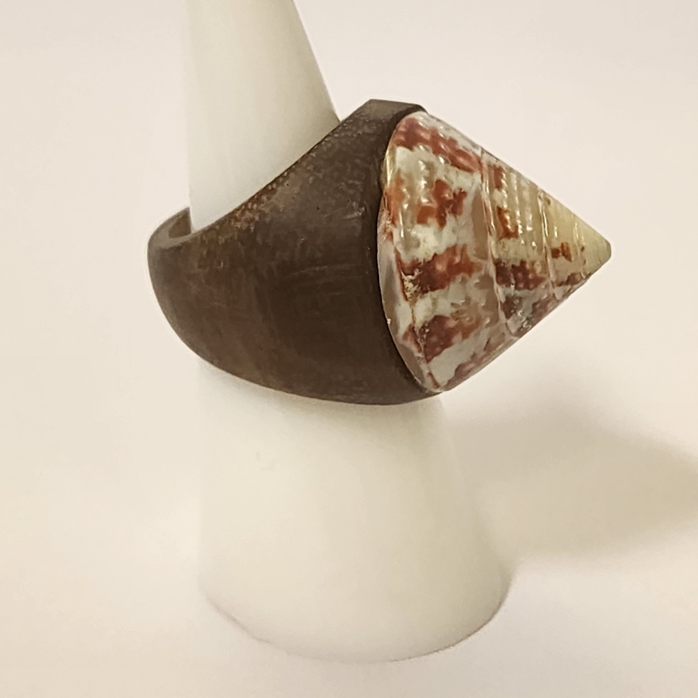 Handmade Wood Ring with Natural Cone Shell Boho Beach Surf Style Size 6